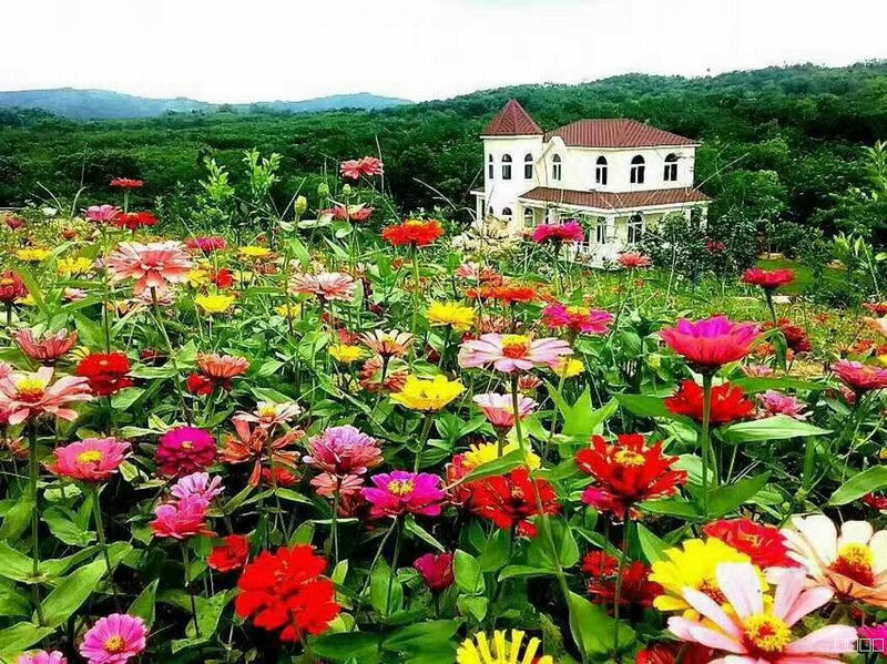 灞槍棣欏北鎷撳睍鏂囧寲鍥?.jpg 灞槍棣欏北鎷撳睍鏂囧寲鍥?.jpg