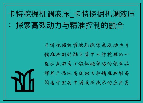 卡特挖掘机调液压_卡特挖掘机调液压：探索高效动力与精准控制的融合
